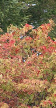オホーツク地域～秋の風景3