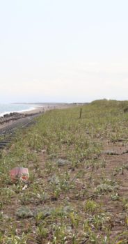 オホーツク地域~猿払村の風景